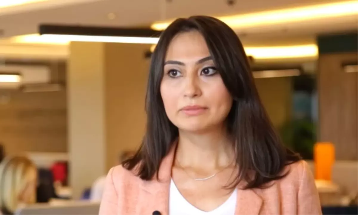 Teknoyatırım Programı Destek Unsurları ve Üst Limitleri Nelerdir?