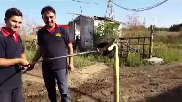Yılanları Çıkarmak İçin Kuyuya 21 Ton Su Bastılar