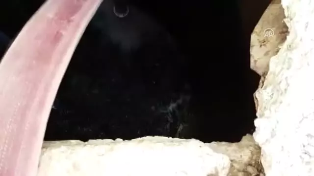 Yılanları Çıkarmak İçin Kuyuya 21 Ton Su Bastılar