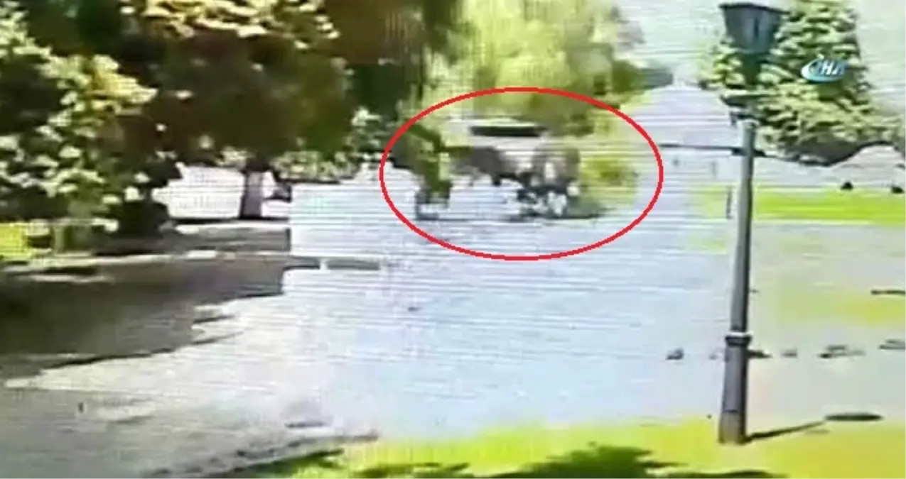 Denizli'den Tatil İçin Ukrayna'ya Giden Vatandaşın Üzerine Ağaç Düştü