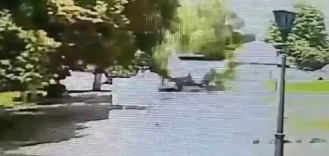 Turistik Gezi İçin Gittiği Ukrayna'da Üzerine Ağaç Düştü