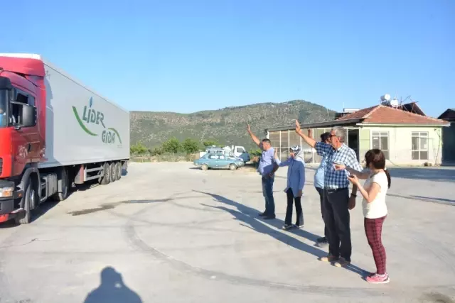 Çameli Domatesi Arabistan'a Gitmek İçin Yola Çıktı
