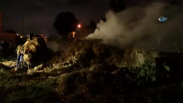 Kocaeli'de Ot Yangını Korkuttu Kocaeli'de Ot Yangını Korkuttu