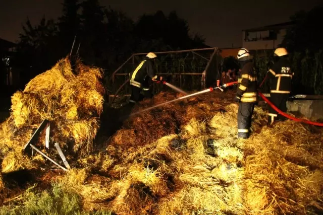 Kocaeli'de Ot Yangını Korkuttu Kocaeli'de Ot Yangını Korkuttu