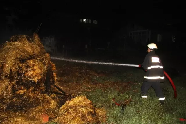 Kocaeli'de Ot Yangını Korkuttu Kocaeli'de Ot Yangını Korkuttu