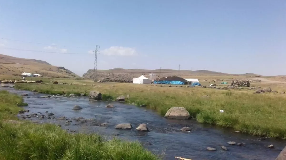 Ağrı'da Göçerlerin Zorlu Yayla Hayatı