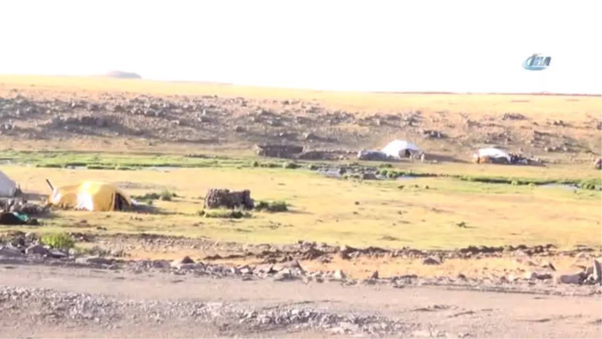Ağrı'da Göçerlerin Zorlu Yayla Hayatı