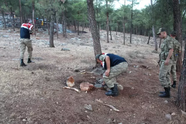 Hatay'da Örtü Yangını
