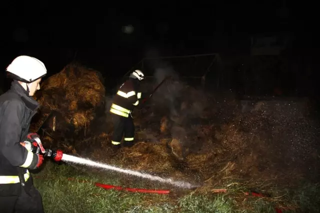 Kocaeli'de Ot Yangını Korkuttu Kocaeli'de Ot Yangını Korkuttu