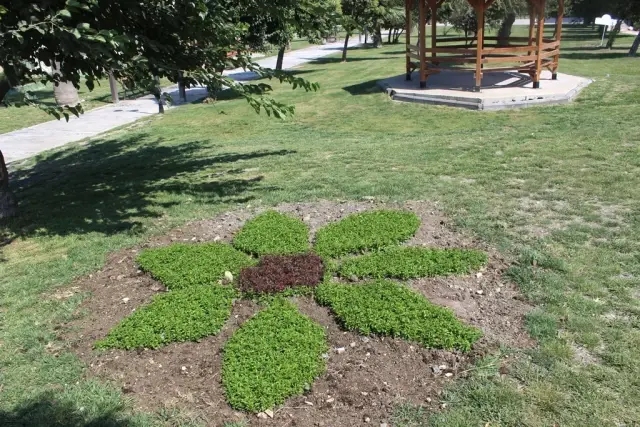 Sevgi Parkı HBB İle Rengârenk