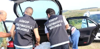 Sinop'ta Uyuşturucu Operasyonu : 3 Gözaltı