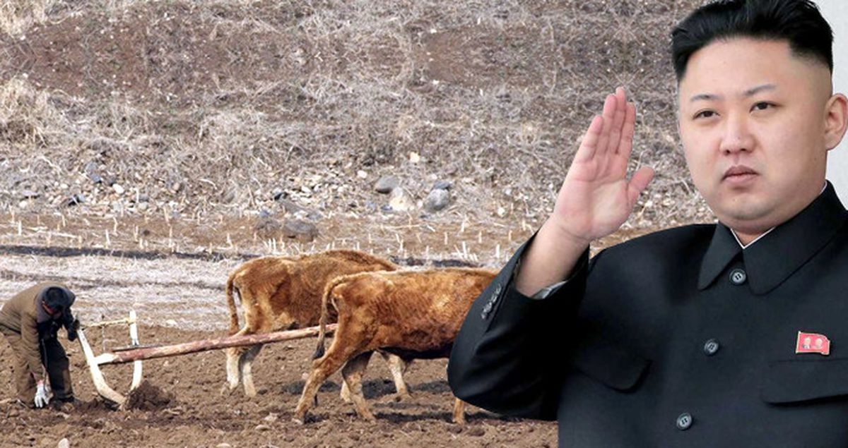Dünyaya Kafa Tutan Kuzey Kore 2001'den Beri En Büyük Kıtlıkla Karşı Karşıya