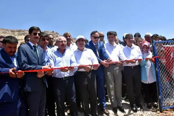 Derik'te Şehit Kaymakam Safitürk'ün Çok İstediği Proje Hayata Geçirildi Derik'te Şehit Kaymakam Safitürk'ün Çok İstediği Proje Hayata Geçirildi