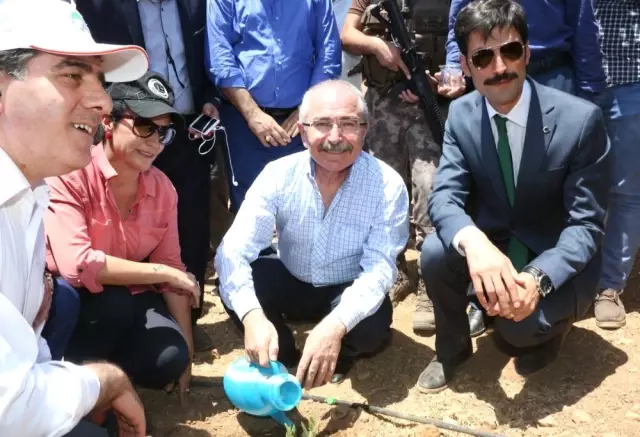 Şehit Kaymakam Safitürk'ün Hayalleri Tek Tek Gerçek Oluyor Şehit Kaymakam Safitürk'ün Hayalleri Tek Tek Gerçek Oluyor