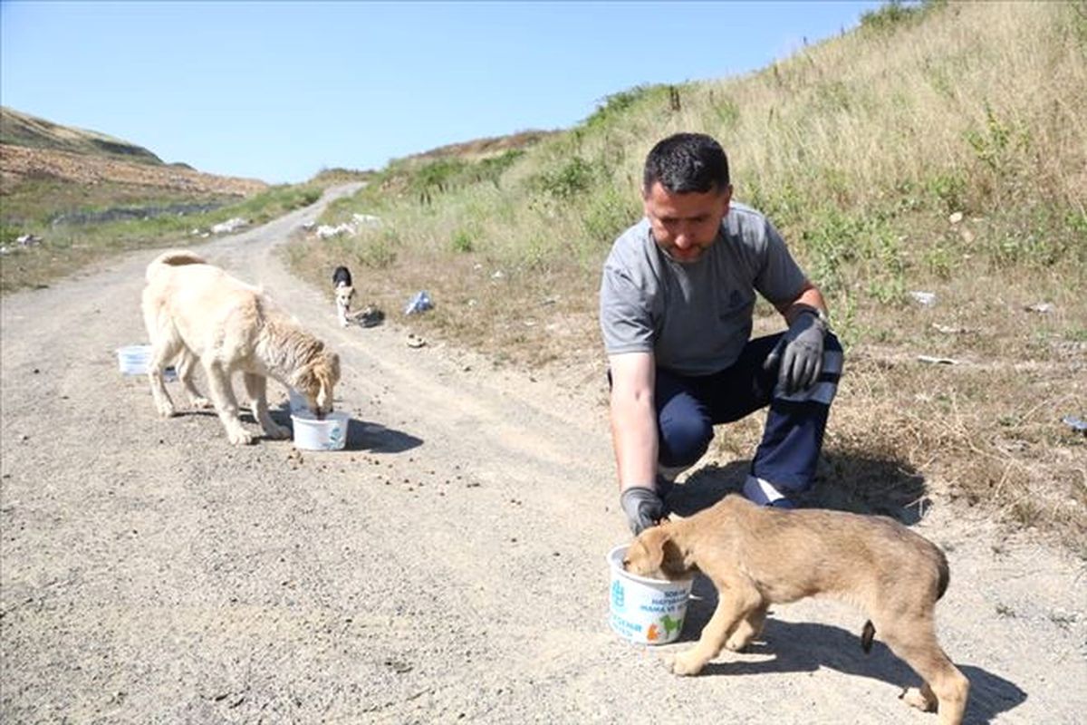 Tügva, Sokak Hayvanları İçin Su Kabı Bıraktı