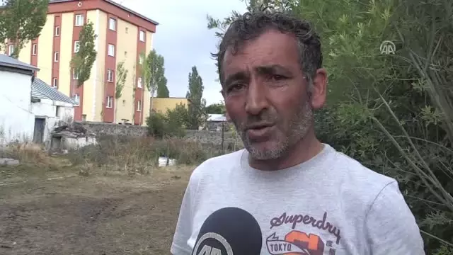 Kars'ta Kuş Gribi Paniği! Yüzlerce Kaz Gizemli Bir Şekilde Ölüyor Kars'ta Kuş Gribi Paniği! Yüzlerce Kaz Gizemli Bir Şekilde Ölüyor