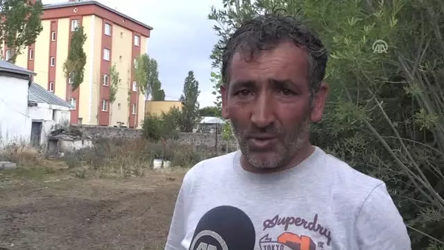 Kars'ta Kuş Gribi Paniği! Yüzlerce Kaz Gizemli Bir Şekilde Ölüyor Kars'ta Kuş Gribi Paniği! Yüzlerce Kaz Gizemli Bir Şekilde Ölüyor
