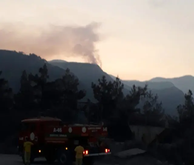 Hatay'da Orman Yangını
