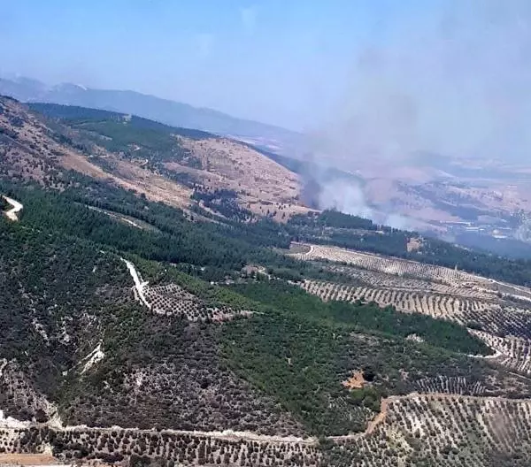Hatay'da Orman Yangını