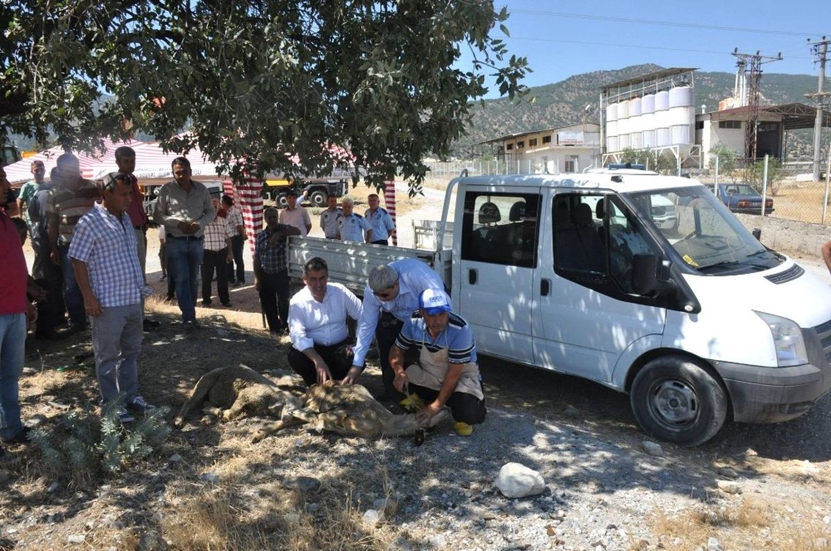 Buharkent'te Tarihi Gün