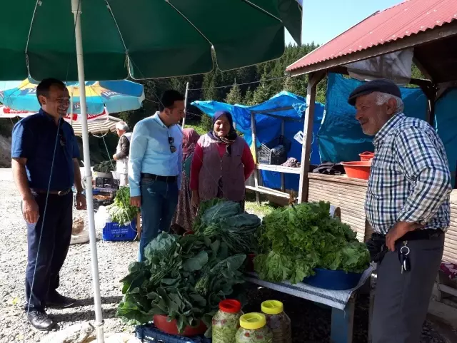 2 Bin Rakımlı Çambaşı Yaylası'nda Organik Pazar