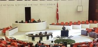 CHP'li Milletvekillerinin İç Tüzükle İlgili TBMM'deki Eylemi Devam Ediyor