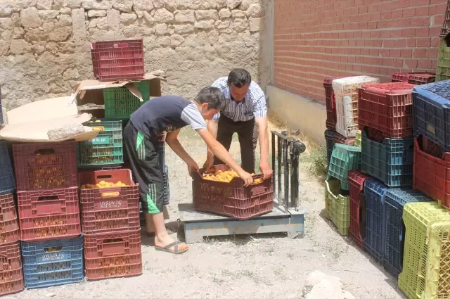 Nevşehir'den Kısa Kısa