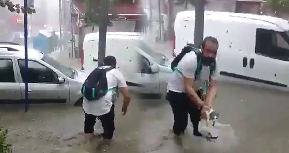 Şiddetli Yağışın Ortasında Mahsur Kalan Kedi, Son Anda Kurtarıldı