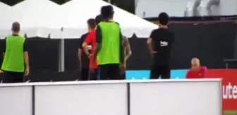 Sivrisinek sarmalının - açık havada kan emici böceklerle savaşmanın en iyi yolu 48
