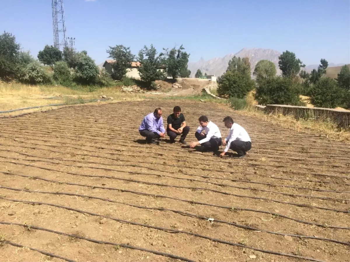 Hakkari'de Demonstrasyon Çalışması