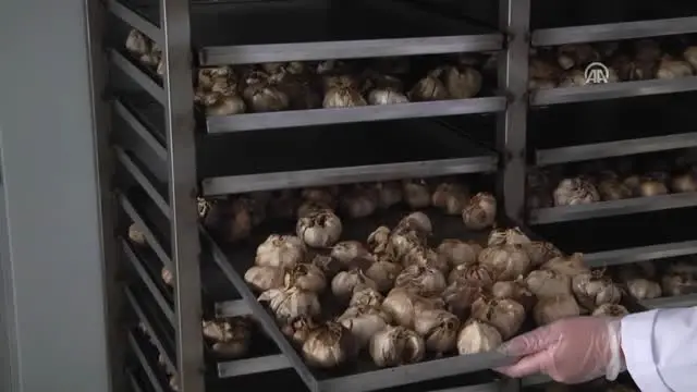 Sarımsağı Siyaha Dönüştürüp Kilogramını 150 Liradan Satıyor