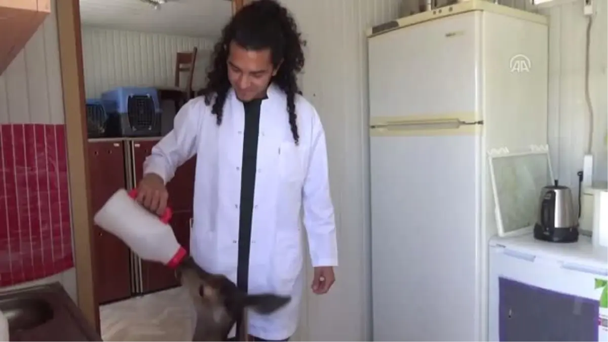 Üniversitelilerden Yaban Hayatına Gönüllü Destek