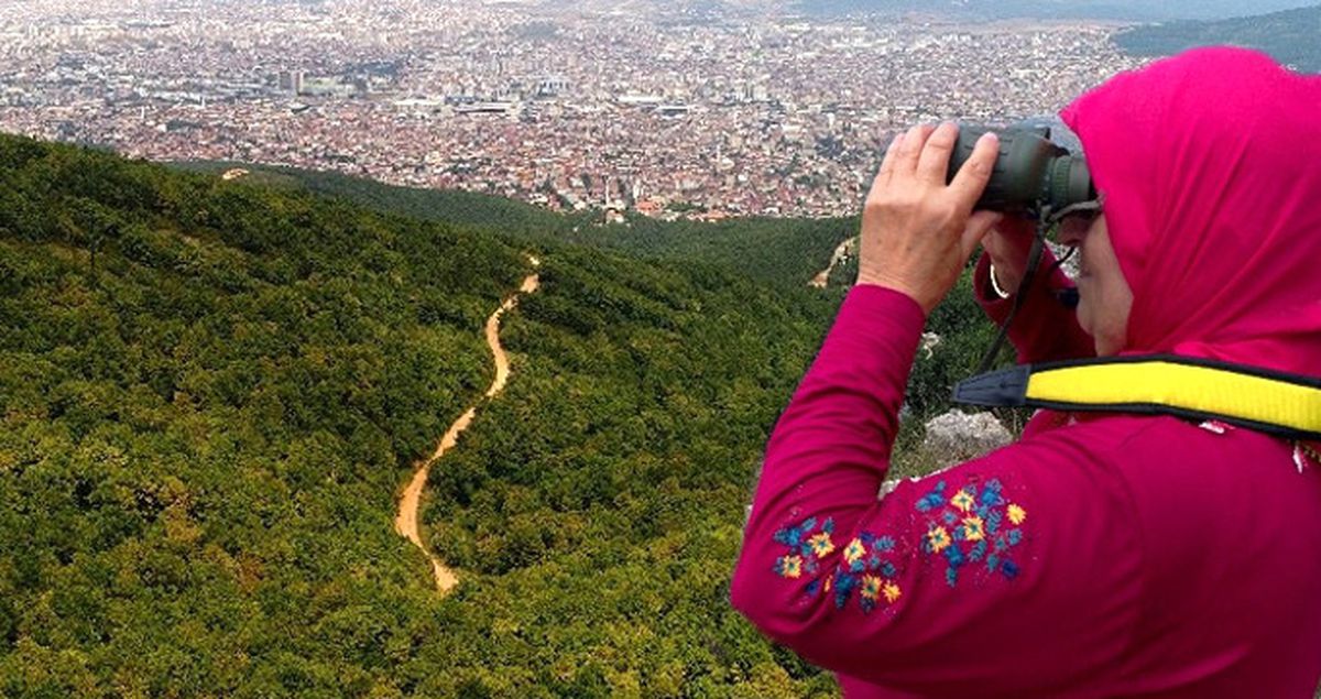Gözetleme Kulesinde Çalışan Ayda Teyze Aydos Ormanları'na Gözü Gibi Bakıyor