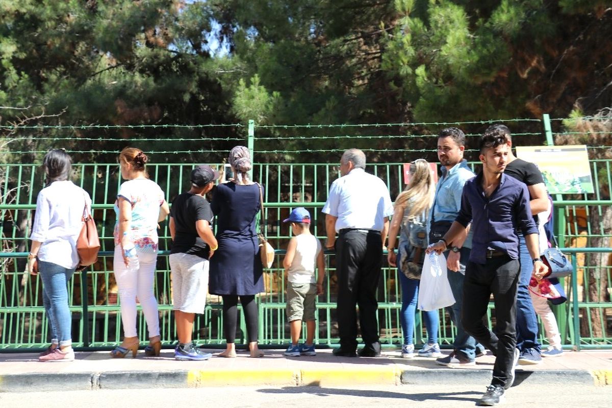 Avrupa'nın En Büyük Üçüncü Hayvanat Bahçesine Ziyaretçi Akını