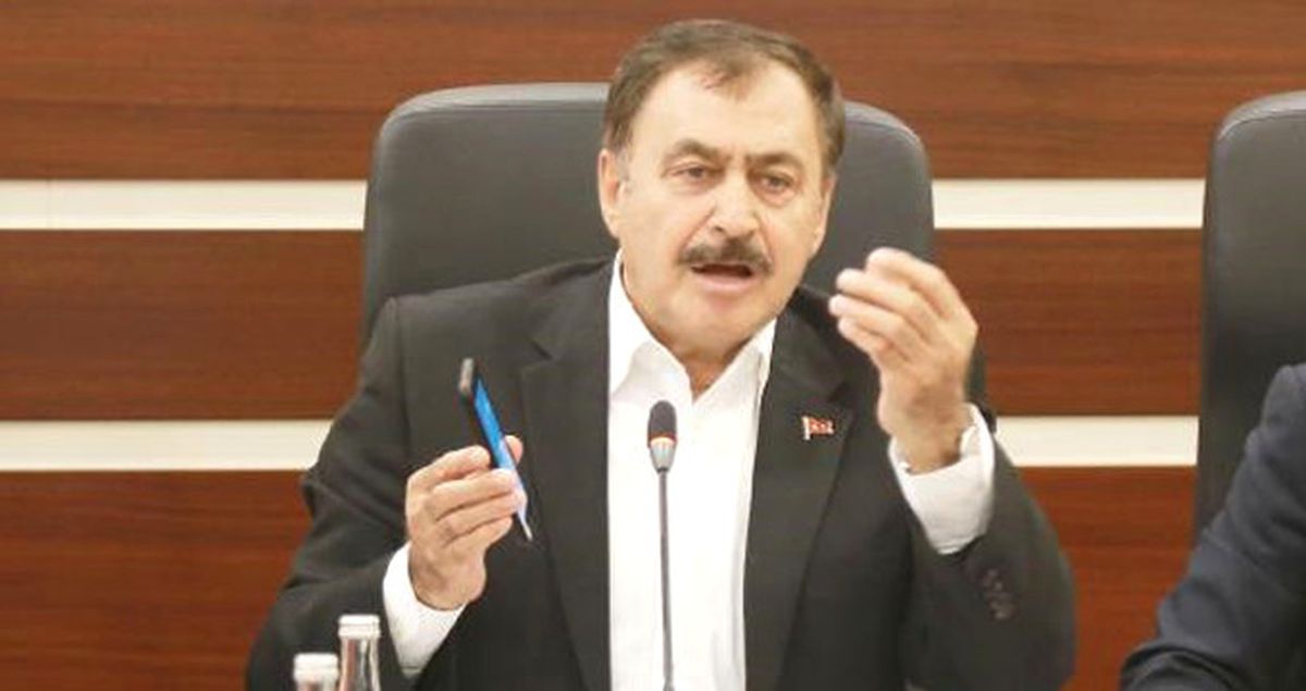 Bakan Eroğlu, 'Mümkün Olsa İstanbul'u Terk Ederim' Diyen Profesör Kadıoğlu'na Çok Kızdı