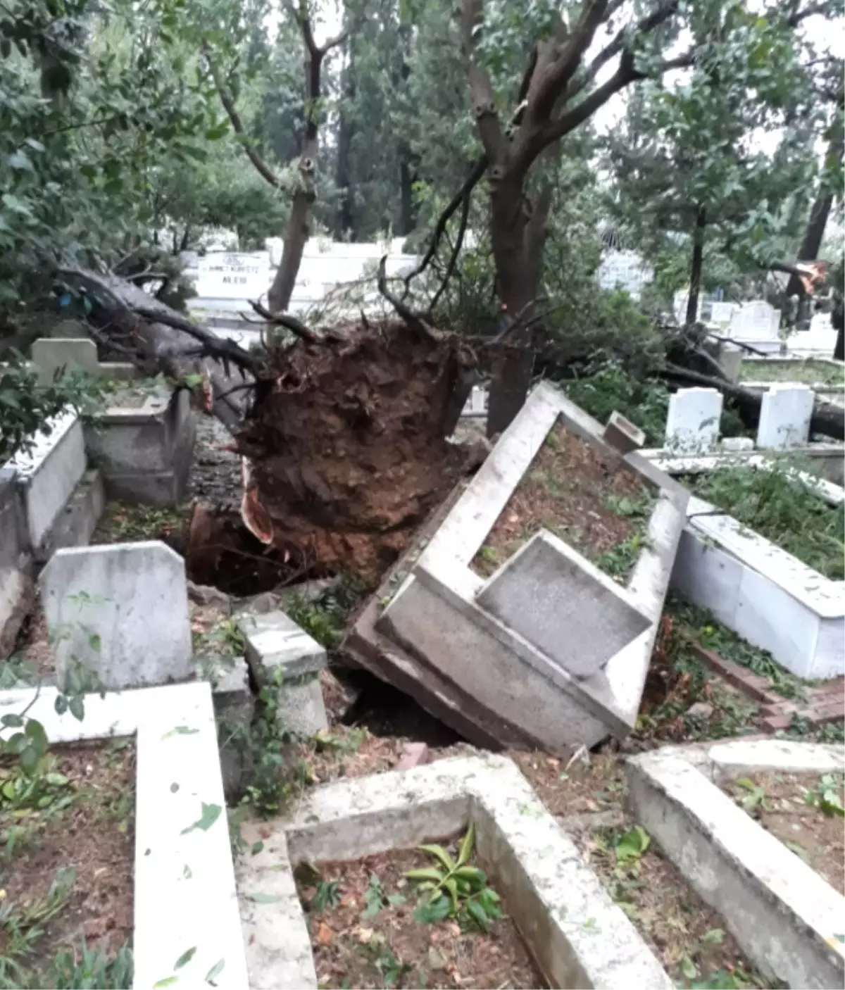 İstanbul Seli: '120 Milyon Tl ' Zarar Verdi!