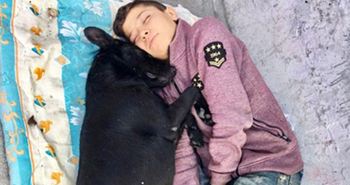 Beşiktaş'ta Kaldırım Üzerinde Köpeğe Sarılarak Uyuyan Çocuğa 'AHBAP' Sahip Çıktı