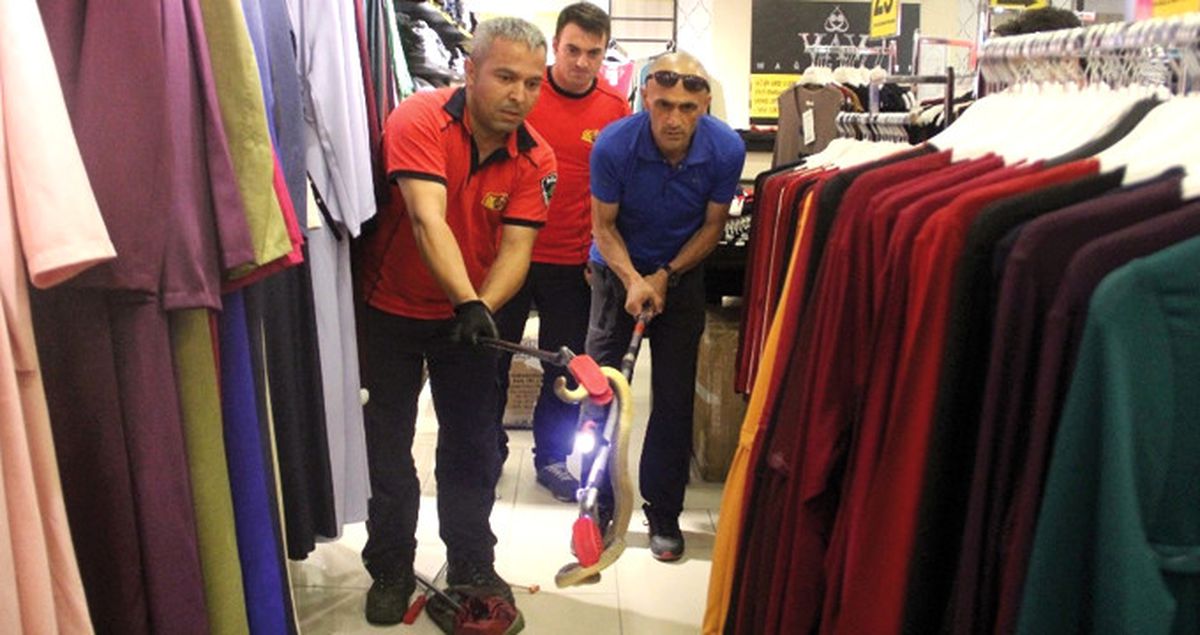 Mağazaya Gelen Elbise Kolisinden Yılan Çıktı