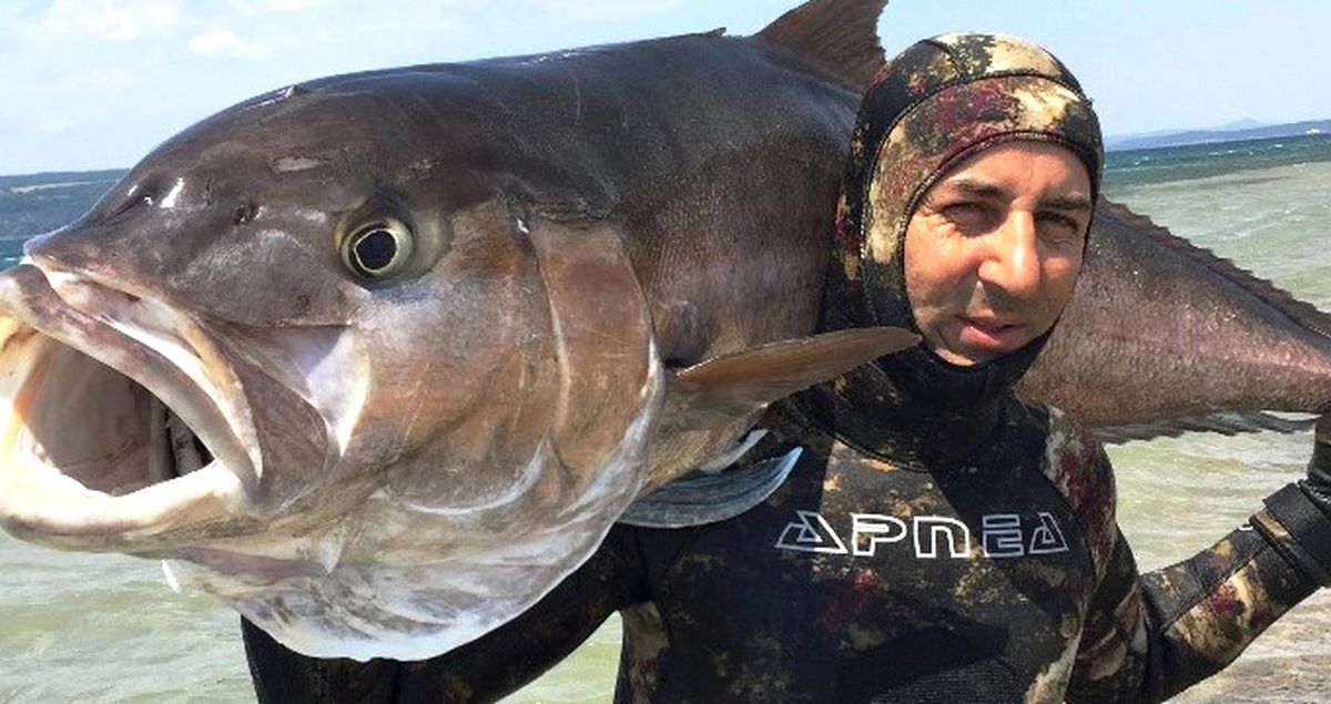 2 Metre Boyundaki 68 Kiloluk Akya Balığını Zıpkınla Avladı