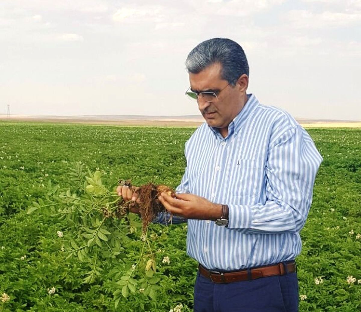 Konya Şeker'den Patates Üreticisine 5 Milyon 200 Bin Lira Avans