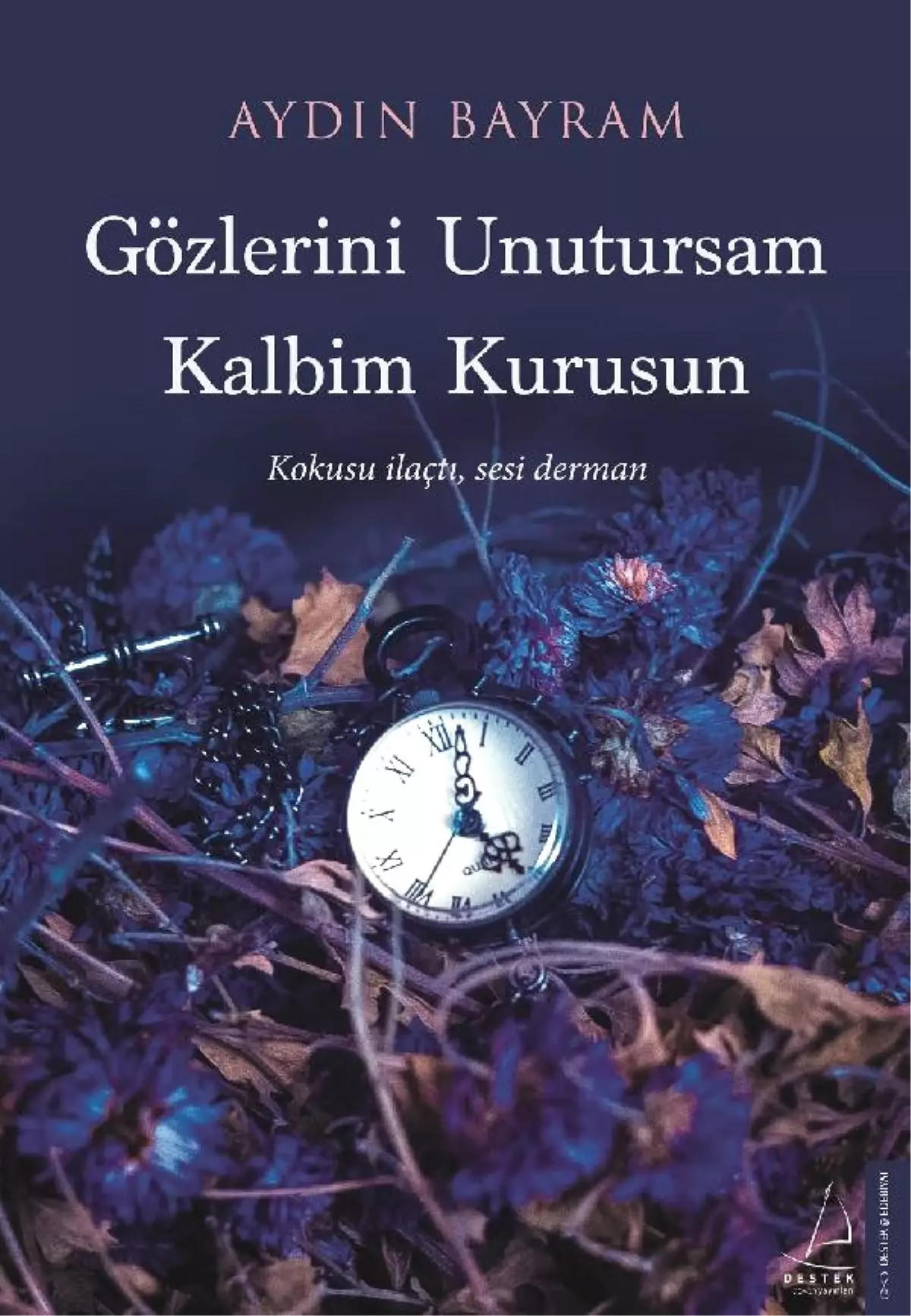 Aydın Bayram'ın Üçüncü Kitabı Çıktı