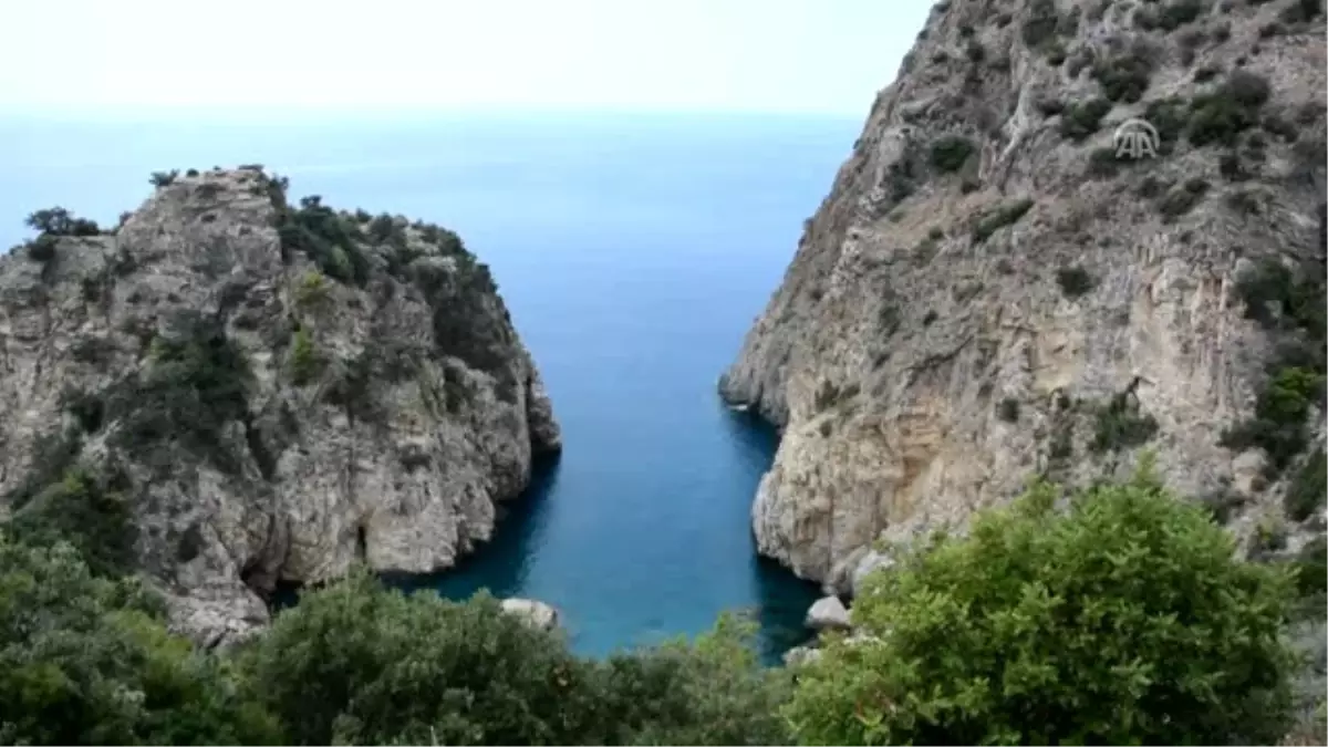 Litvanyalı Turistler Belediye İşçileriyle Çöp Topladı