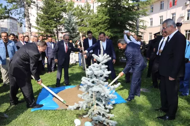 Türkiye'de Lavantaya Dayalı Sanayi Kurulumu İçin Hazırlık
