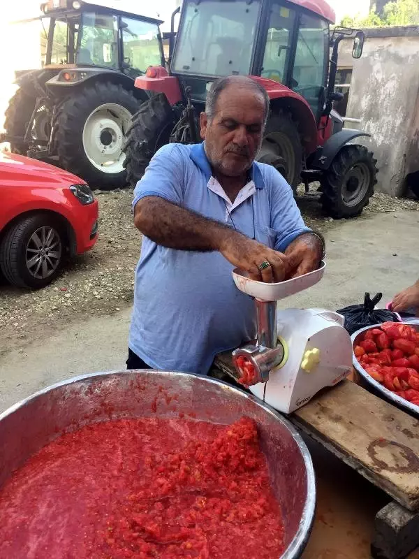 Ev Salçası ve Konserve Vakti Haberler