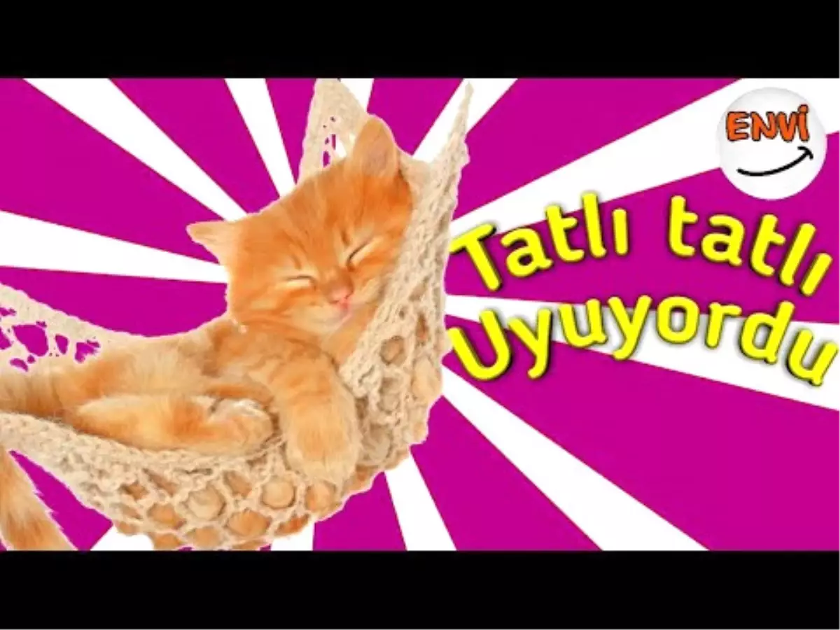 Yavru Kedilerin Komik Kazaları ?? Komik Kediler Komik Videolar - Haberler