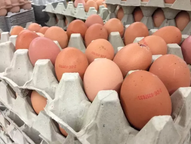 Almanya'da Fipronil Alarmı