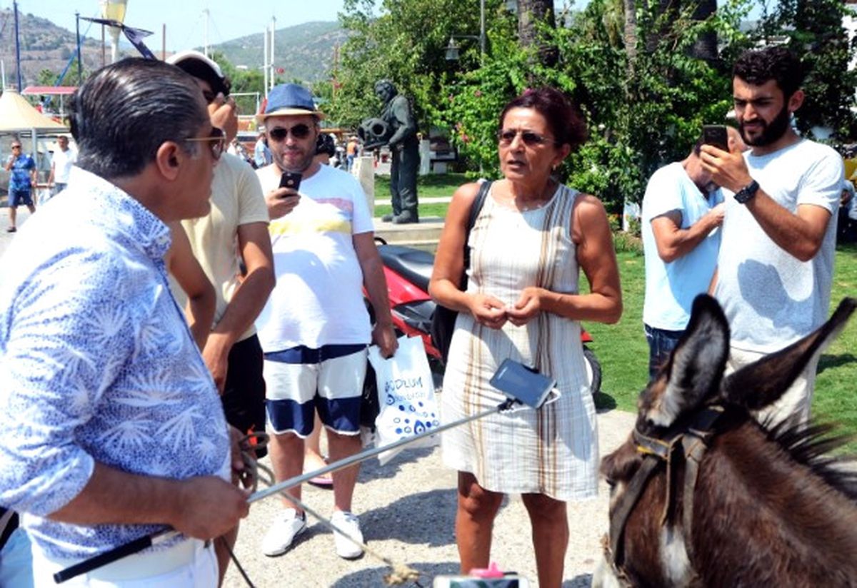 Reklamı İçin Eşek Kullanan Aydın Aydın, Hayvanseverleri Ayaklandırdı