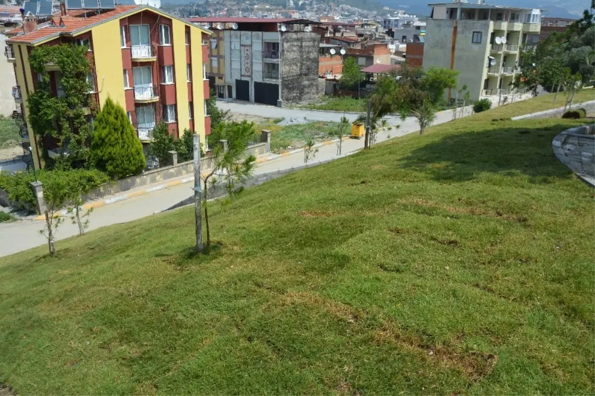 Söke'de Yeşil Alan Miktarı Artıyor