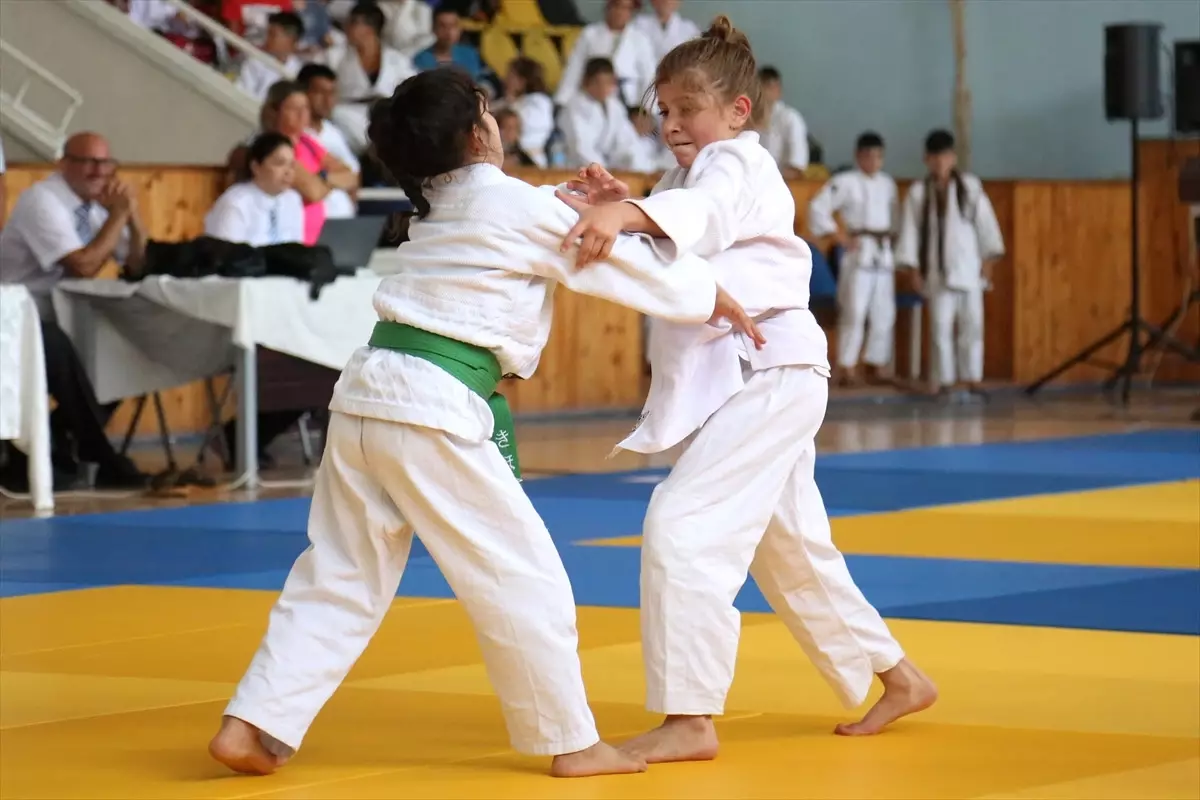 15. Karadeniz Judo Turnuvası