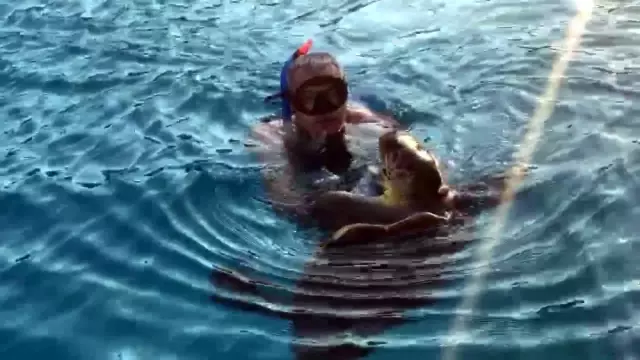 Bir Caretta Caretta Saldırısı Daha